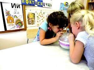 �����������