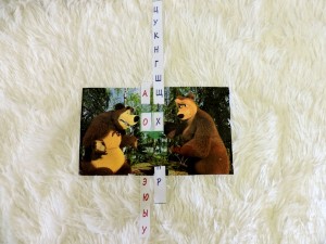 �����������